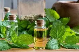 دارو مناسب بیماری آلزایمر کشف شد! | بررسی تاثیر عصاره گیاه بادرنجبویه بر آلزایمر
