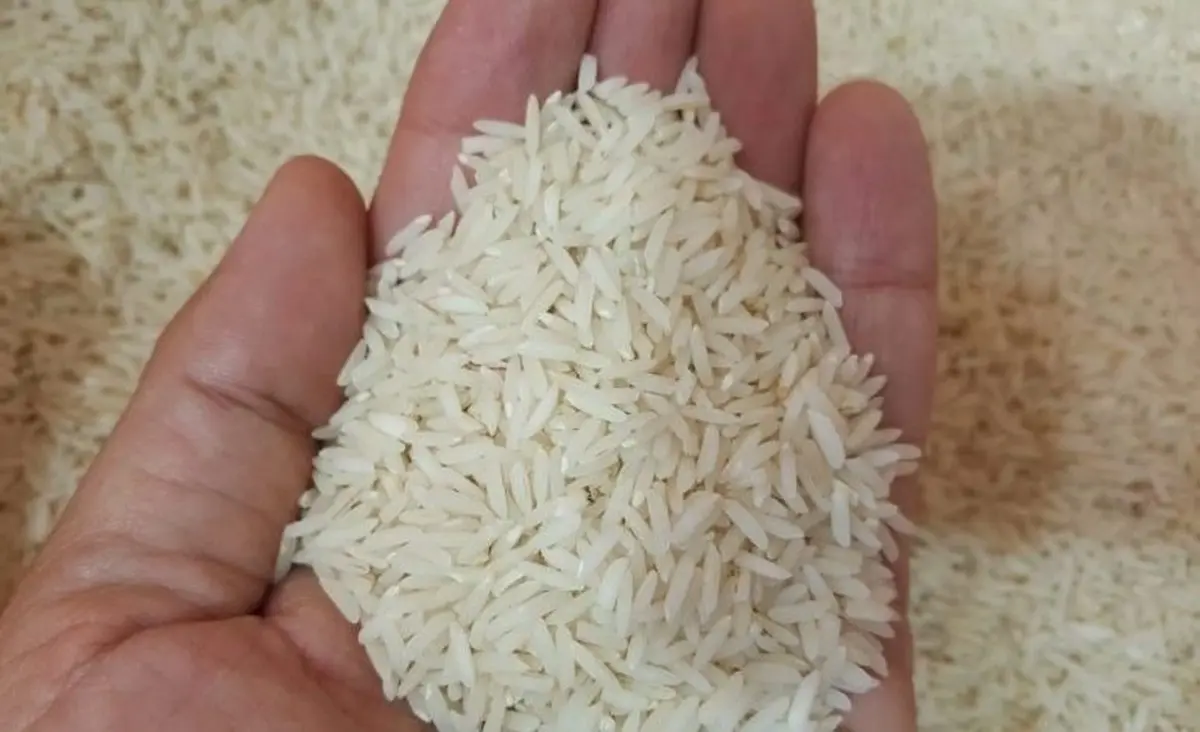 نفت می‌دهیم، برنج «بی کیفیت» هندی می‌گیریم