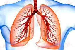 این گیاهان سپر بلای ریه هایتان