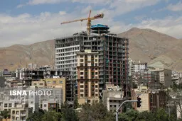 رییس اتحادیه املاک  |  همه فروشنده‌اند