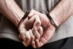 
 قاتل سرباز ناجا در بوشهر دستگیر شد
