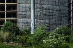 وزش باد نسبتا شدید و خیزش گرد وخاک در جنوب تهران |  کاهش نسبی دما تا اواخر هفته