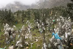 عمارت زباله +تصاویر