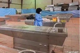 پزشکی قانونی: شایعات درباره دریافت هزینه میلیاردی برای معاینه مجروحین یا تحویل متوفیان حوادث اخیر، کذب است