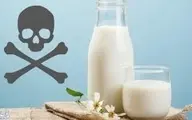 لبنیات | 50 درصد شیر موجود در مغازه های لبنیاتی یاسوج آب اضافه است