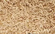 قیمت این برنج به کیلویی ۳۱۵ هزار تومان رسید