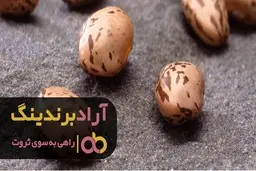 لوبیا چیتی زودرس و فواید باورنکردنی آن 
