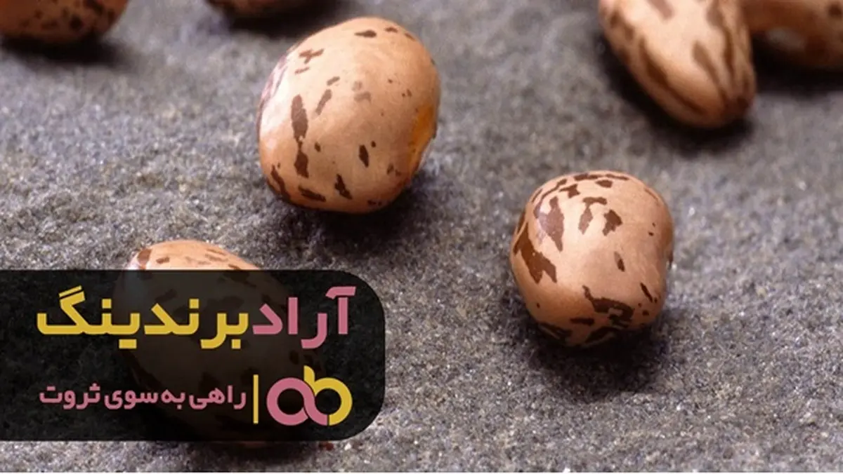 لوبیا چیتی زودرس و فواید باورنکردنی آن 