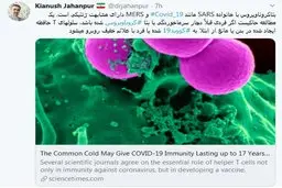 مصونیت مقابل کرونا در صورت ابتلا به نوعی از سرماخوردگی