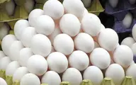 
تخم مرغ، شانه‌ای ۲۶ هزار تومان شد 
