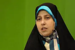 چاپلوسی سلحشوری برای روحانی| سلحشوری: رئیس‌جمهور کتک‌خور نظام شده است