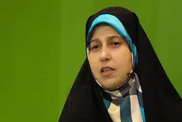 چاپلوسی سلحشوری برای روحانی| سلحشوری: رئیس‌جمهور کتک‌خور نظام شده است