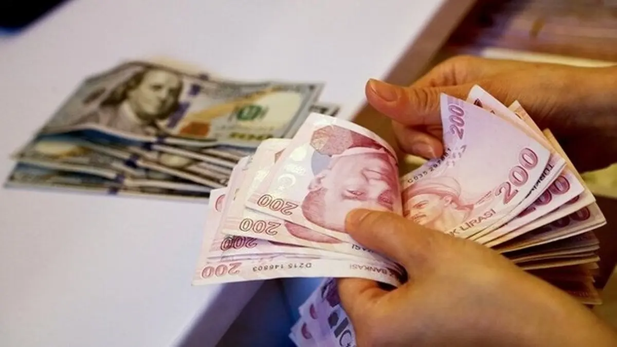 ادامه سقوط بی سابقه لیر ترکیه در برابر دلار