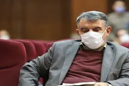 پوری حسینی  |  سازمان خصوصی سازی تصمیم نمی‌گیرد واگذاری به چه روشی انجام شود و هیچ اختیاری از سوی وزیر اقتصاد به بنده تفویض نشده بود
