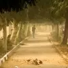 هشدار نارنجی هواشناسی برای شمال کشور | رگبار، رعدوبرق و گردوخاک در راه است