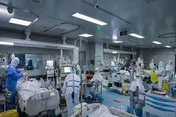 انتشار ویروس کرونای آلفای انگلیسی در هرمزگان | احتمال شیوع ویروس کرونای دلتا