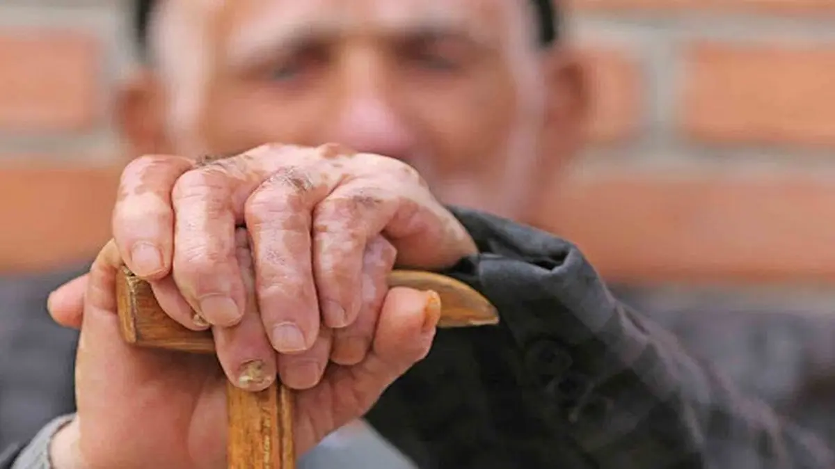 فریده باغ علیشاهی : 80 هزار سالمند ازدواج نکرده اند 