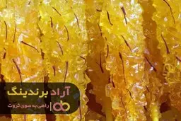 ثروتی که حوزه نبات به من هدیه کرد