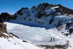 آب‌تنی در ارتفاعات | خرس مهمان دریاچه قله سبلان +ویدئو