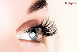 بهترین رژیم غذایی برای تقویت چشم کدام است؟