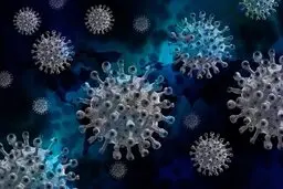 شناسایی اٌمیکرون در ۱۱ ایالت هند