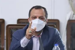 خاندوزی سخنگوی حوزه اقتصادی دولت شد