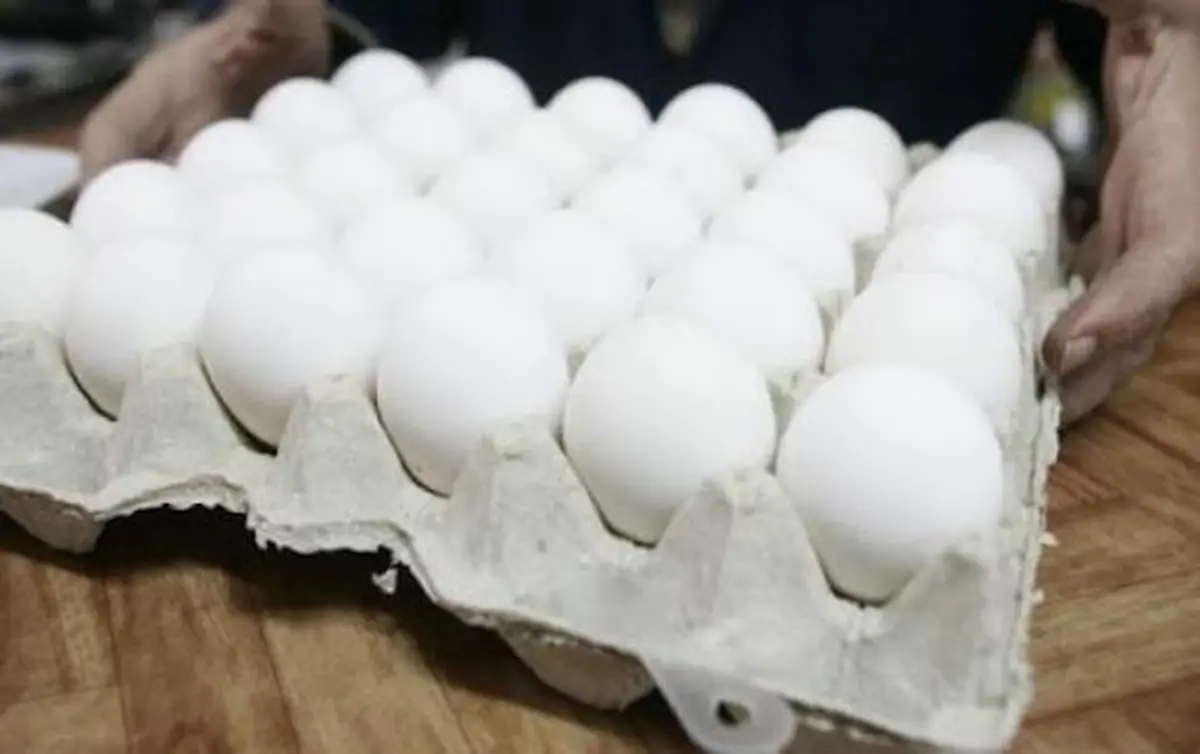 قیمت هر شانه تخم مرغ دربازار چند ؟ 