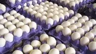  قیمت هر شانه تخم مرغ در بازار چند؟
