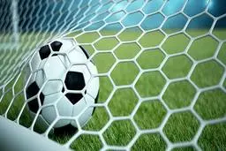 صحنه ای جنجالی در فوتبال | هوادار رسوا شد! + ویدیو