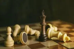 مرتضوی: شطرنج ایران برای آقایان مهم نیست 