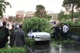 هجوم طوفان به ۶ استان کشور | پروازها لغو و سواحل در وضعیت قرمز!