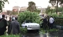 هشدار نسبت به احتمال رخداد طوفان در تهران | کاهش دما در راه است