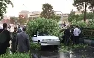 طوفان در راه است | هشدار به پایتخت نشینان از سازه های سست دور شوید 