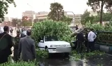 هشدار نسبت به احتمال رخداد طوفان در تهران | کاهش دما در راه است