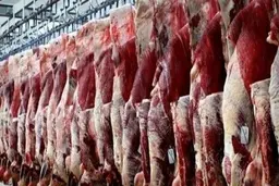 رئیس شورای تامین‌‌کنندگان دام‌: پیشنهاد تهاتر دام زنده با نهاده‌ را به وزارت کشاورزی دادیم