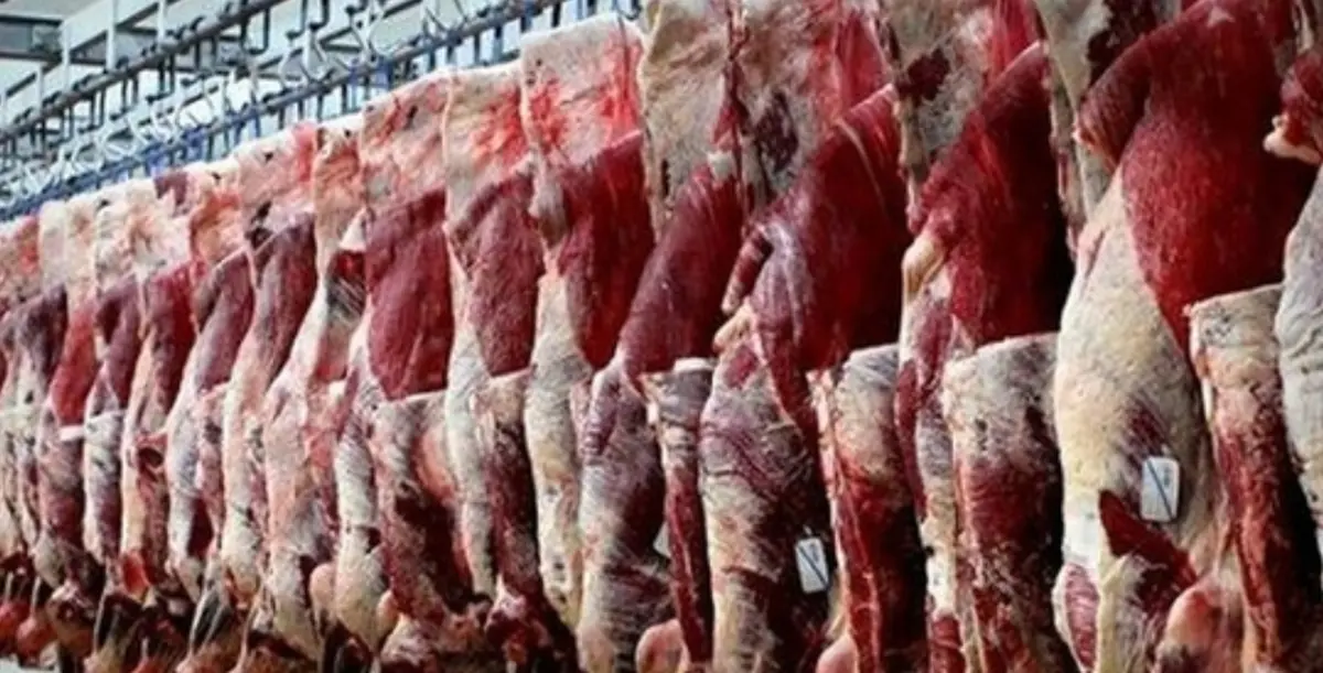 رئیس شورای تامین‌‌کنندگان دام‌: پیشنهاد تهاتر دام زنده با نهاده‌ را به وزارت کشاورزی دادیم
