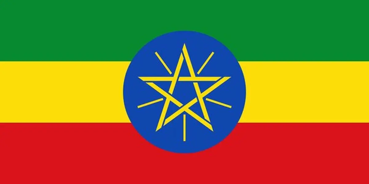 اتیوپی و روسیه چندین توافقنامه همکاری نظامی امضا کردند