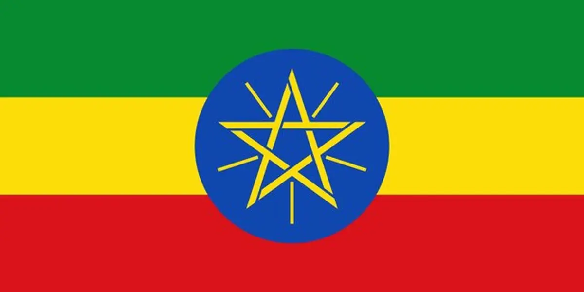 اتیوپی و روسیه چندین توافقنامه همکاری نظامی امضا کردند