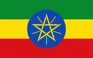 اتیوپی و روسیه چندین توافقنامه همکاری نظامی امضا کردند