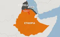 سازمان ملل  |   نیروهای اریتره باید اتیوپی را ترک کنند.