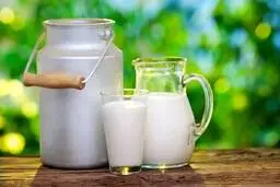 لب به این ماده غذایی نزنید، قدتان کوتاه می ماند!