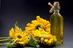 خواص روغن آفتابگردان؛ | ۷ فایده شگفت انگیز و عوارض جانبی