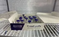 واکسیناسیون کرونا در ایران رایگان است | از ماه آینده یک میلیون دز واکسن کوو برکت تولید می شود