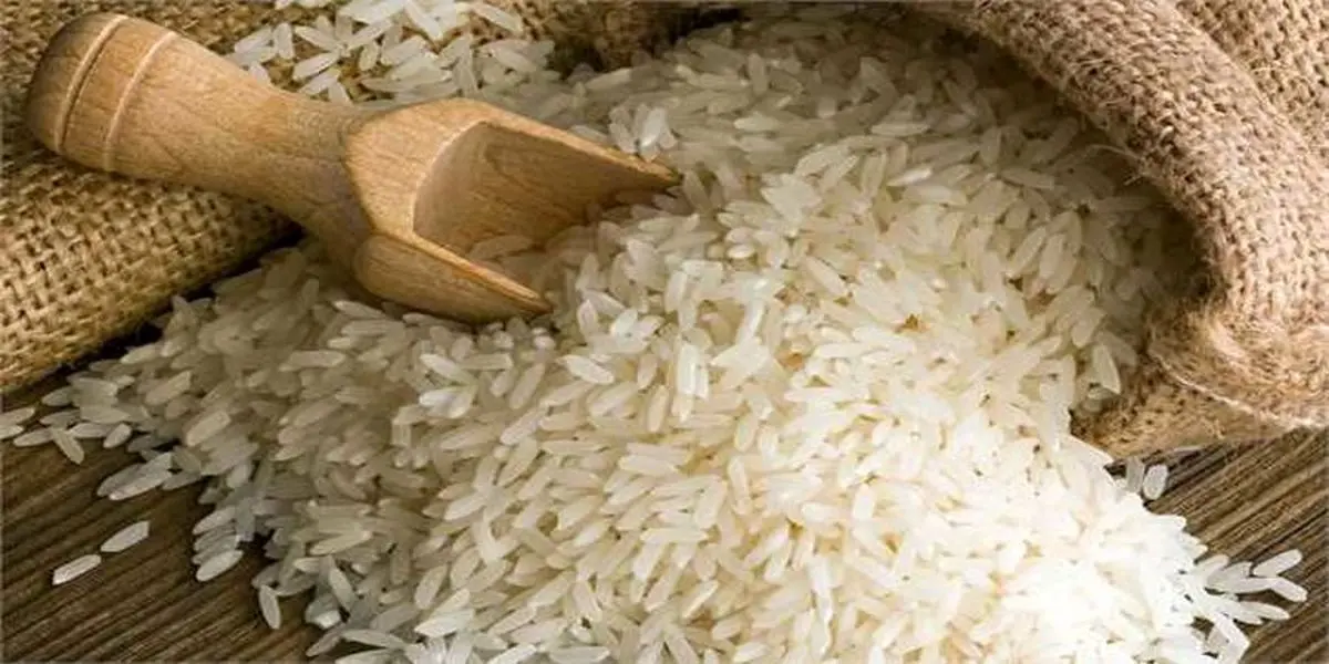 برنج در ایران ارزان می شود ؟ | جزئیاتی از واردات برنج از پاکستان
