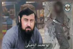 
اداره امنیت ملی افغانستان  |  فرمانده ارشد القاعده کشته شد
