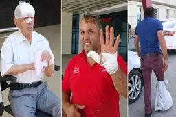 فاجعه در روز عید قربان | قصاب‌ها زخمی شدند!