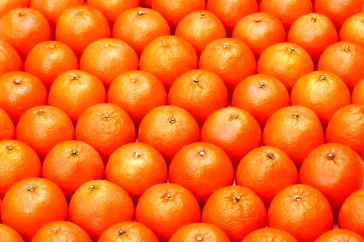 ۲۰ درصد میوه‌های موجود در بازار رنگ مصنوعی دارند