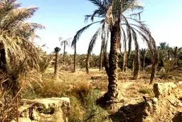  ایران ثروت زیادی دارد |  متاسفانه ما هنوز برنامه‌ای نداریم