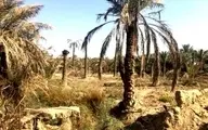  ایران ثروت زیادی دارد |  متاسفانه ما هنوز برنامه‌ای نداریم