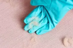 پایان کلنجار با موهای فرش | با این ترفند از شر موهای روی فرش خلاص شو +ویدئو